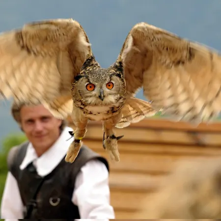 Relax Glicine Λοκάρνο