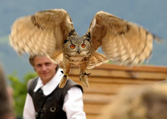 Relax Glicine Λοκάρνο